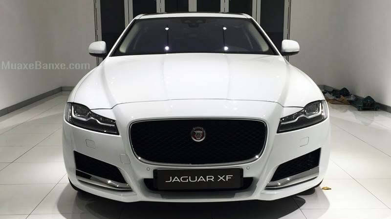 dau -xe-jaguar-xf-pure-2019-muaxegiatot-vn