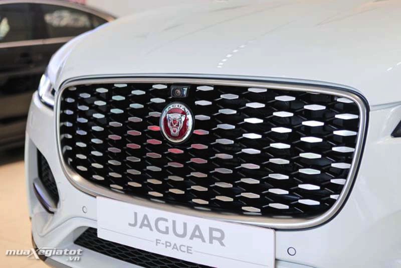 luoi-tan-nhiet-xe-jaguar-f-pace-2021-2022-muaxegiatot-vn